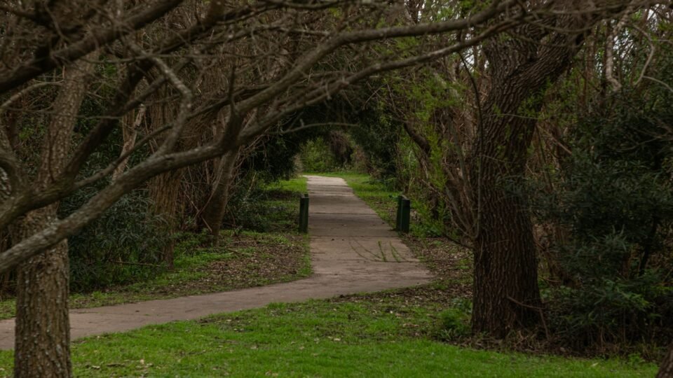 Parque Nacional Pre-Delta